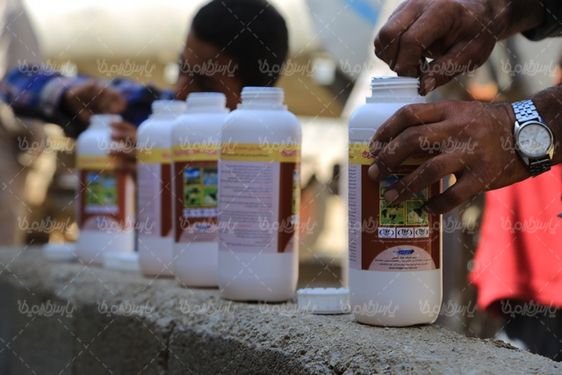 حمام ضد کنه گوسفندان