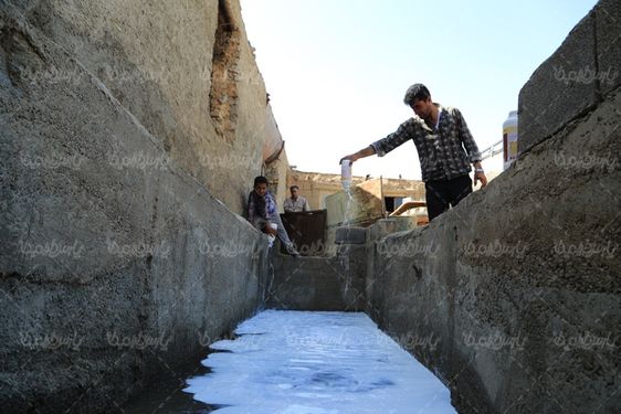 تصویر با کیفیت حمام ضد کنه گوسفندان