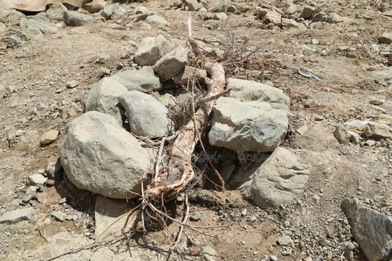 تصویر با کیفیت خسارات سیل