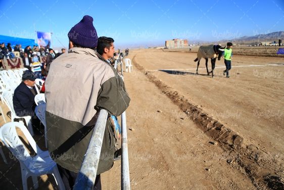 تصویر با کیفیت مسابقه اسب دوانی