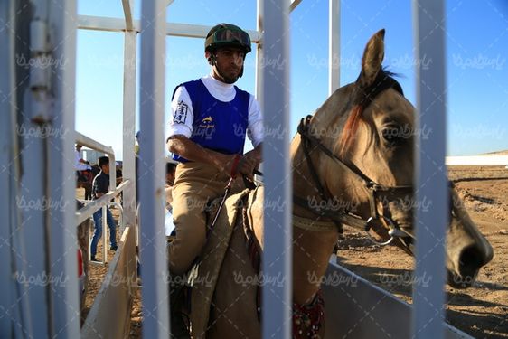 تصویر سوارکاری