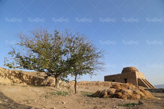 دانلود عکس با کیفیت اسپاخو