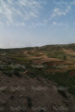 طبیعت بهاری