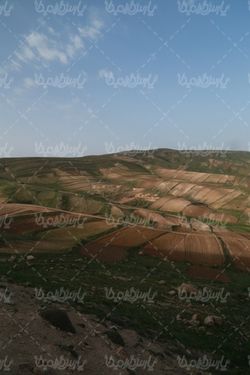 طبیعت بهاری