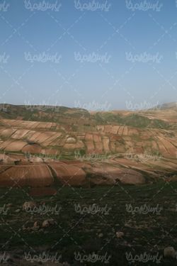 زمین های دیم کاری