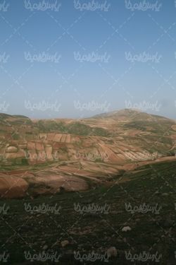 زمین های دیم کاری