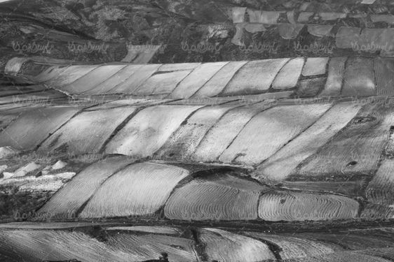 تصویر با کیفیت دیم کاری