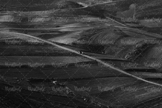 تصویر سیاه سفید منظره