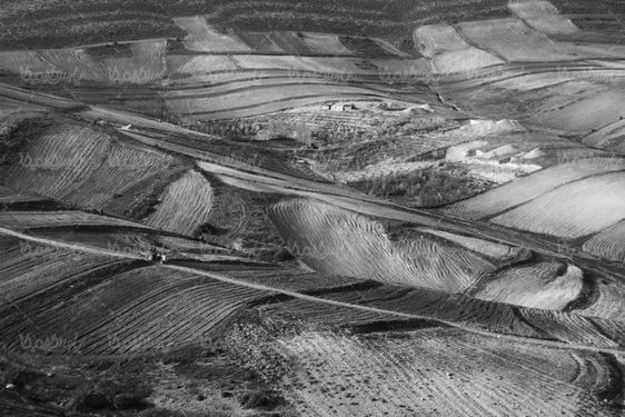 چشم انداز سیاه سفید