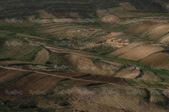 زمین های شخم زده