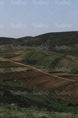 منظره بهاری