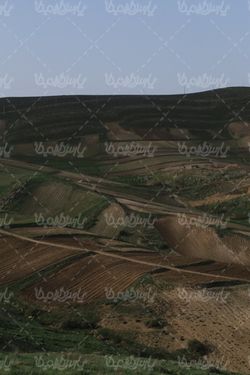 منظره بهاری