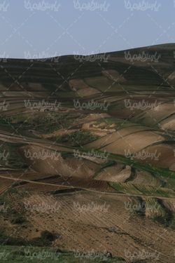 زمین کشاورزی