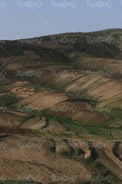 زمین کشاورزی