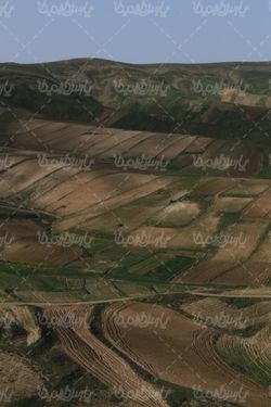 تصویر با کیفیت زمین کشاورزی
