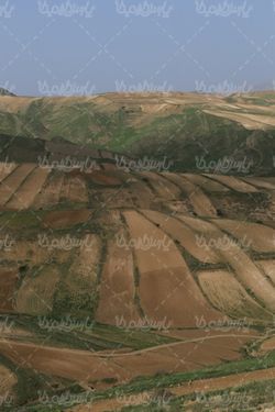 تصویر با کیفیت زمین کشاورزی دیم