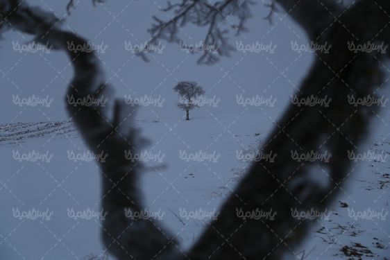 چشم انداز برفی