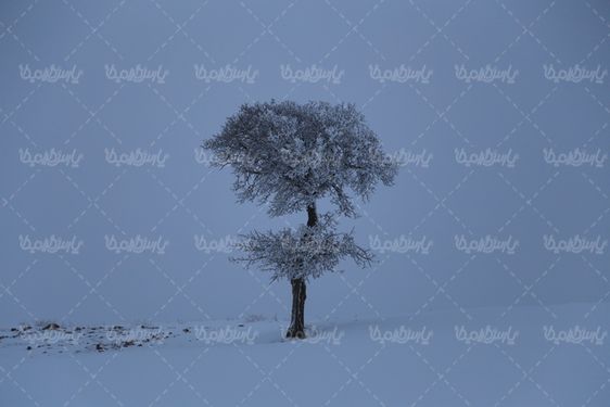 چشم انداز برفی