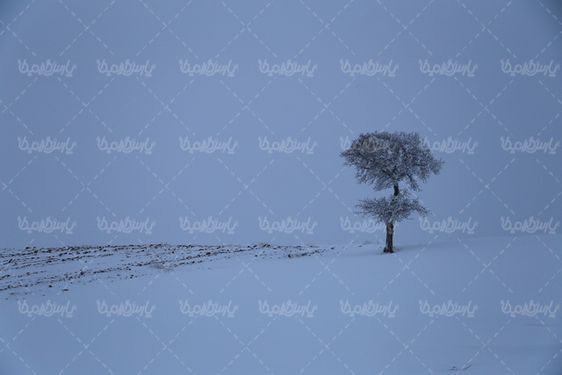 چشم انداز برفی