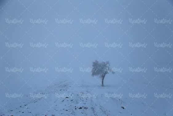 منظره زمستانی