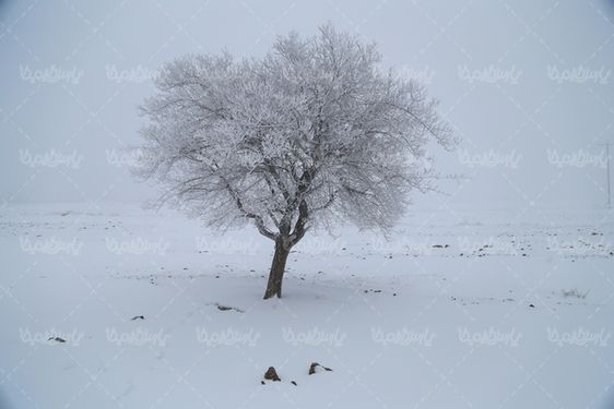 چشم انداز زمستانی