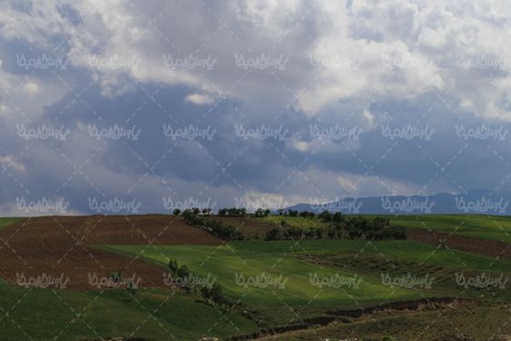 منظره بهاری