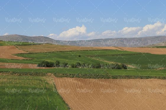 چشم انداز زیبا