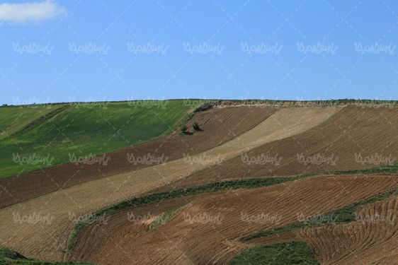 طبیعت فصل بهار