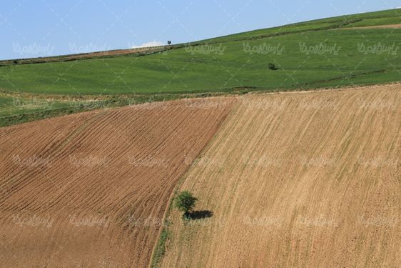 چشم انداز بهاری