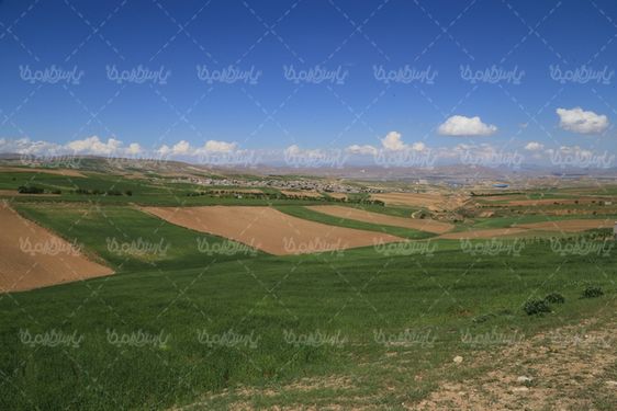 چشم انداز بهاری