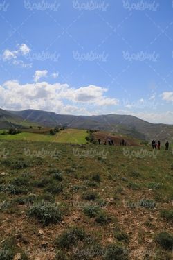 عکس با کیفیت بهار