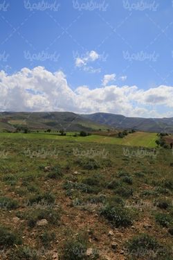 عکس با کیفیت بهار