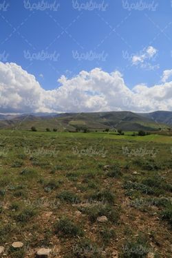 عکس با کیفیت بهار