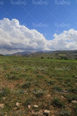 منظره زیبای بهار