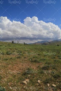 منظره زیبای بهار