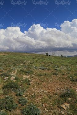 منظره زیبای بهار