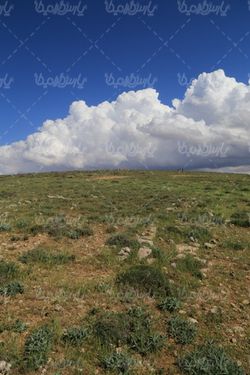 چشم انداز زیبای بهار