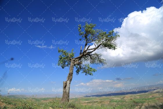 چشم انداز فصل بهار