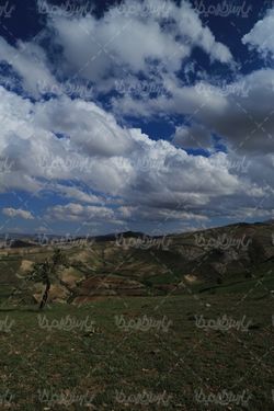 طبیعت بهاری