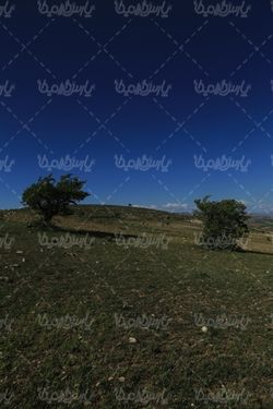 منظره بهاری