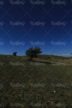 منظره بهاری