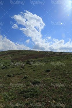 منظره بهاری