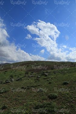 منظره بهاری