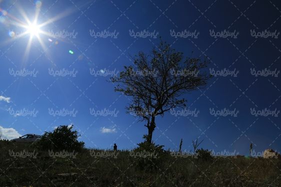 چشم انداز فصل بهار