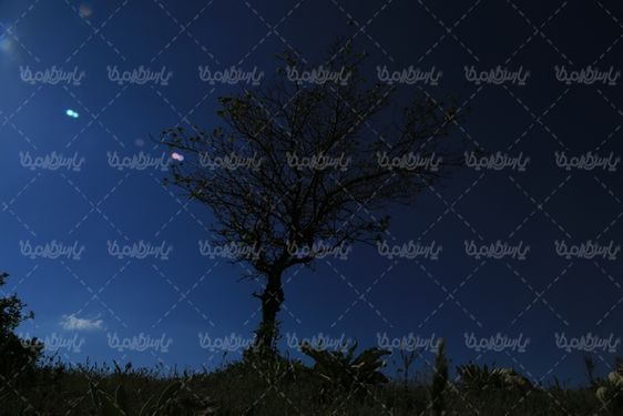 چشم انداز فصل بهار