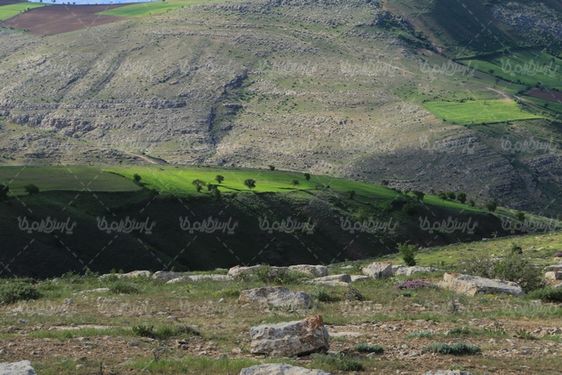 تصویر با کیفیت منظره بهاری