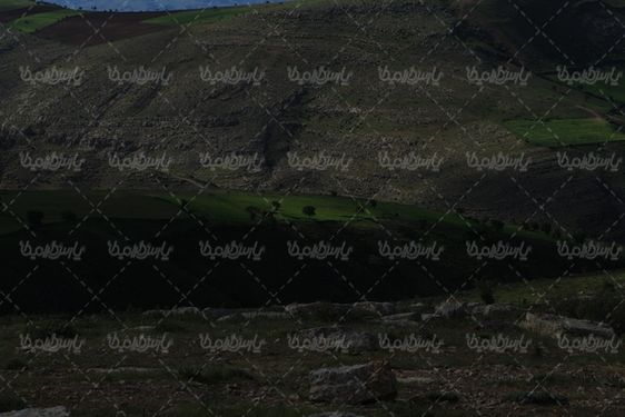 عکس با کیفیت منظره بهاری