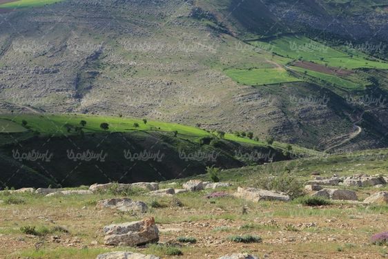 طبیعت کوهستانی