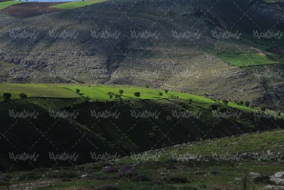 تصویر با کیفیت فصل بهار