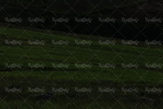 تصویر با کیفیت فصل بهار